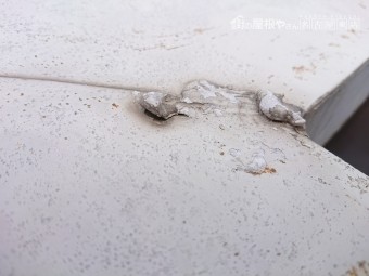 雨漏り調査