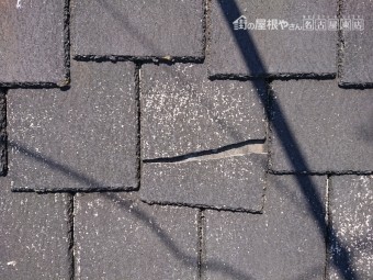 クボタ アーバニーグラッサ