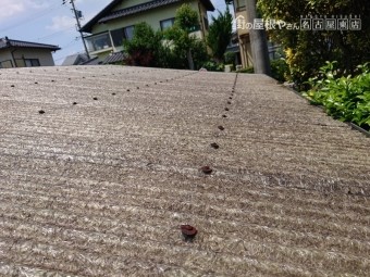 波板の劣化
