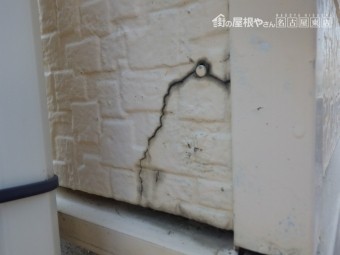褪色