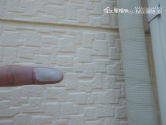 褪色