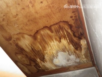 陸屋根防水雨漏れ
