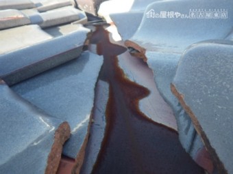 瓦屋根
