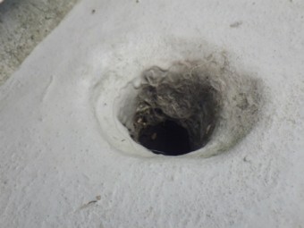 ベランダ防水