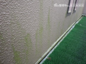 外壁褪色