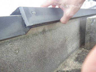 現地調査