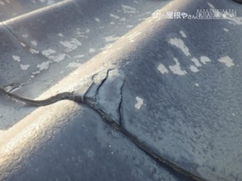 現地調査