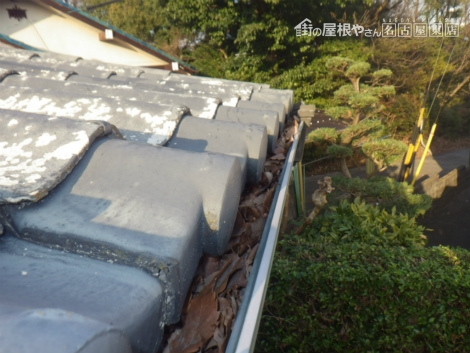 現地調査