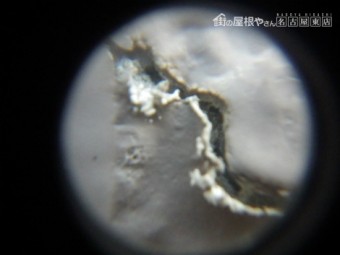 現地調査