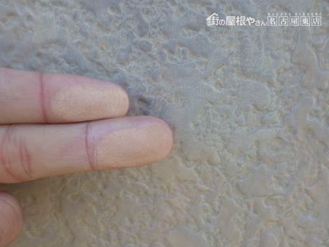 現地調査