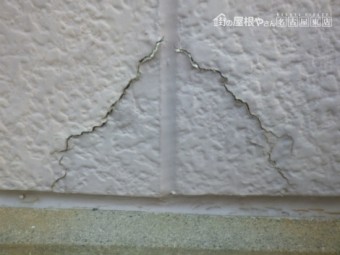 現地調査