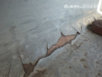 現地調査