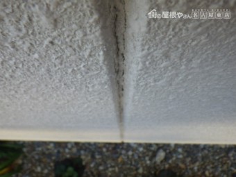 現地調査