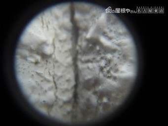 現地調査