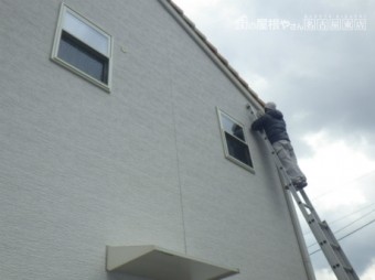 防鳥工事
