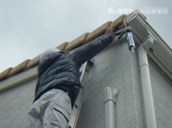 防鳥工事