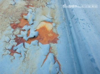 現地調査