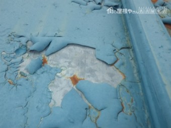 現地調査