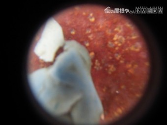 現地調査