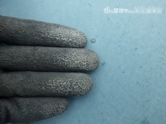 現地調査