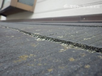 現地調査