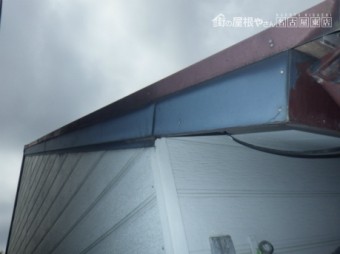 現地調査