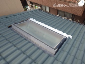 現地調査