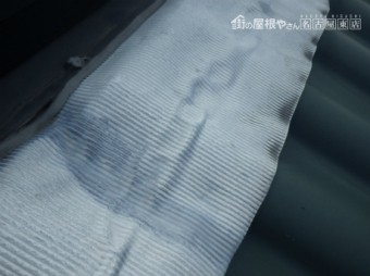 現地調査
