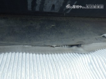 現地調査