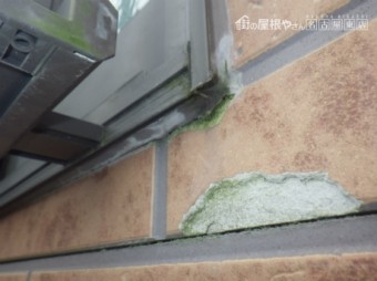 多色サイディング点検