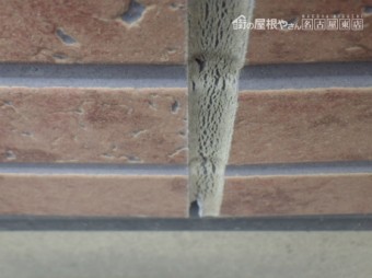 多色サイディング点検