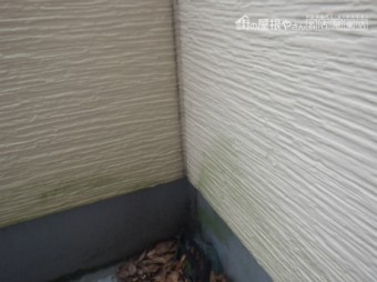 サイディング点検