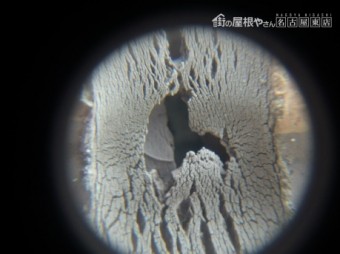 多色サイディング点検