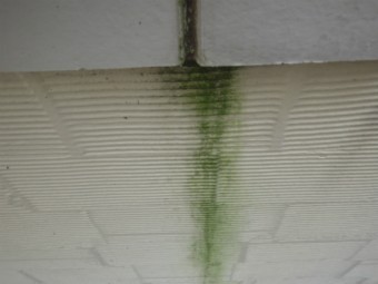 雨筋汚染