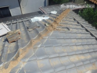 棟取り直し
