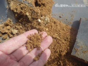 棟取り直し