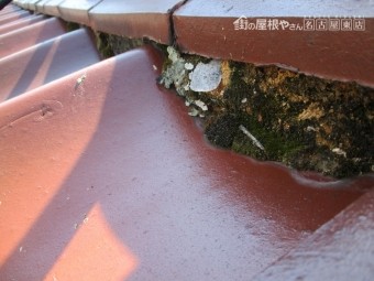 漆喰劣化