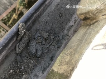雨樋工事