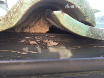 雀口の漆喰