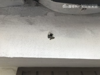 雨樋工事