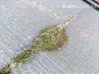 カラーベストの劣化