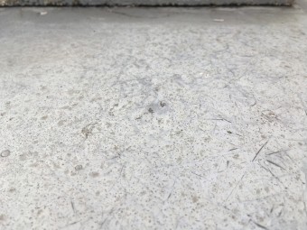 トップコート不具合