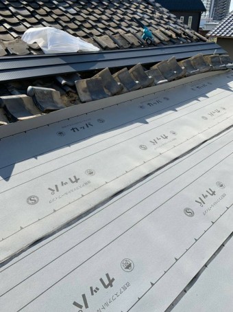 IMG_1429-1-columns2