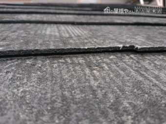 カバー工法 屋根調査