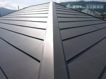 アイジー工業 スーパーガルテクトフッ素