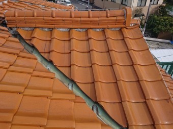 谷板金 雨漏りの原因