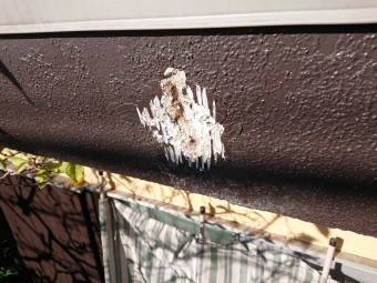 パラペットの補修