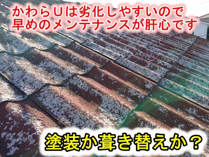 かわらUのメンテナンス