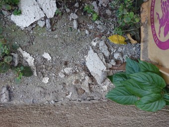 モルタルの落下 屋根からの雨漏り