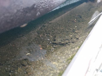 雨樋の劣化により交換